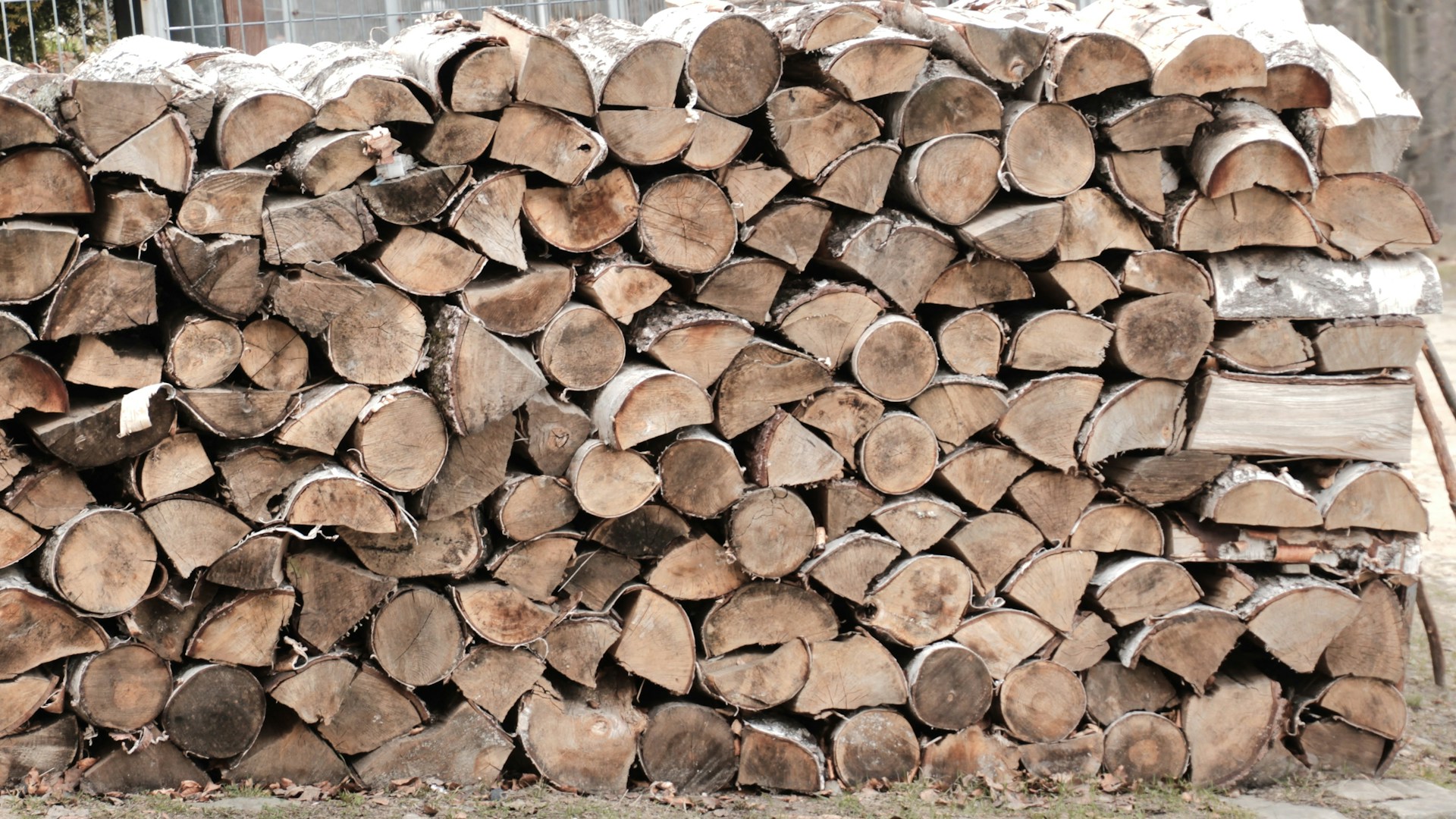 Stacked seasoned firewood